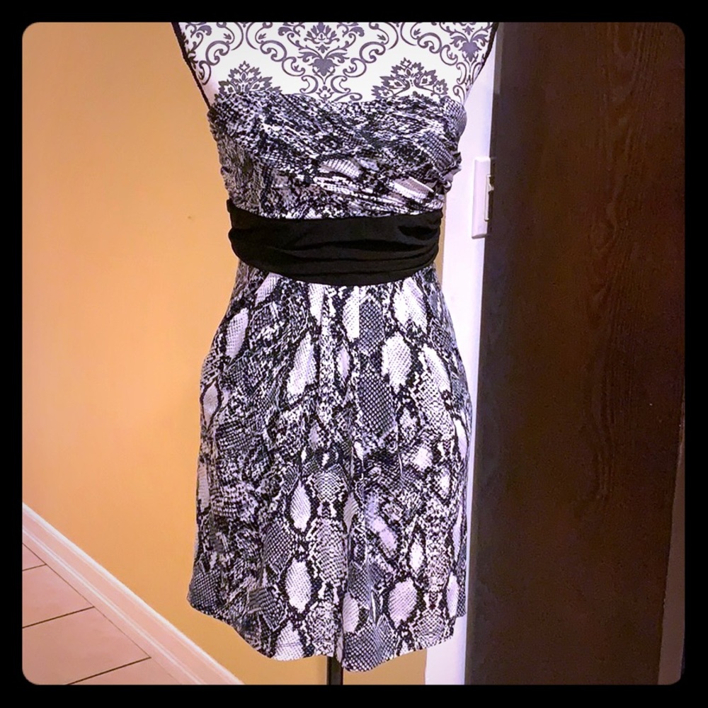 Snake Print Dress (Macy’s)
